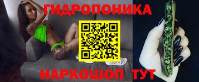 Альфа ПВП Обь